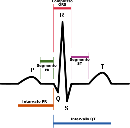 onde elettrocardiografo
