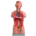 TORSO UNI-SEX  - 16 parti